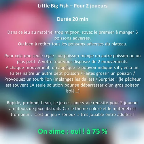 Test de LITTLE BIG FISH bilan